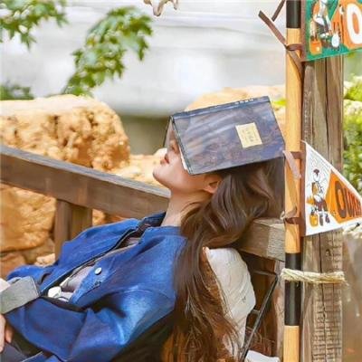 不可能的云霄飞车海报