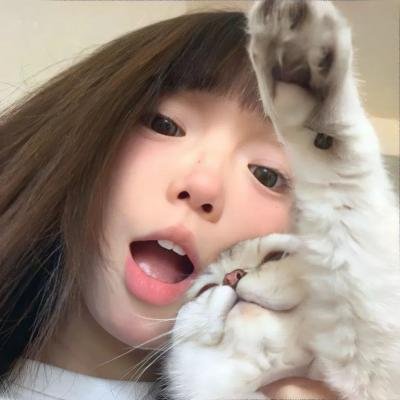 雾中之犬海报